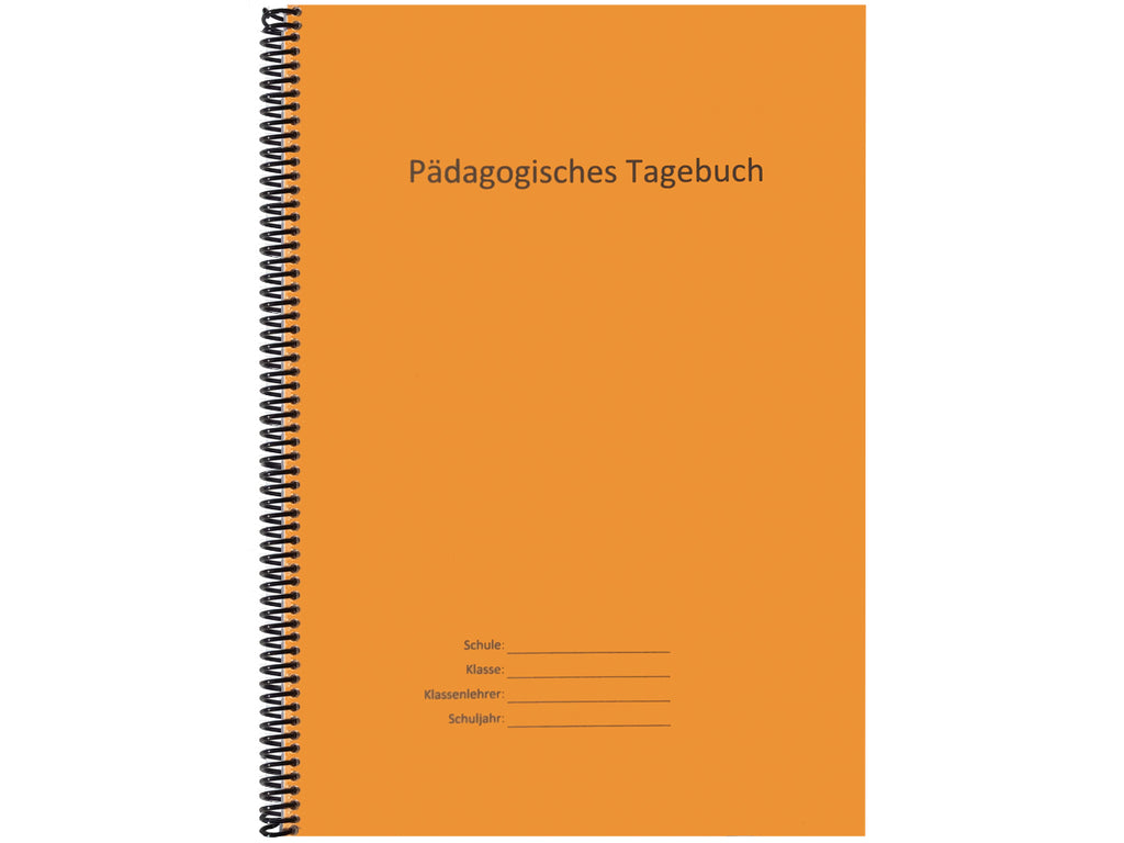 Pädagogisches Tagebuch