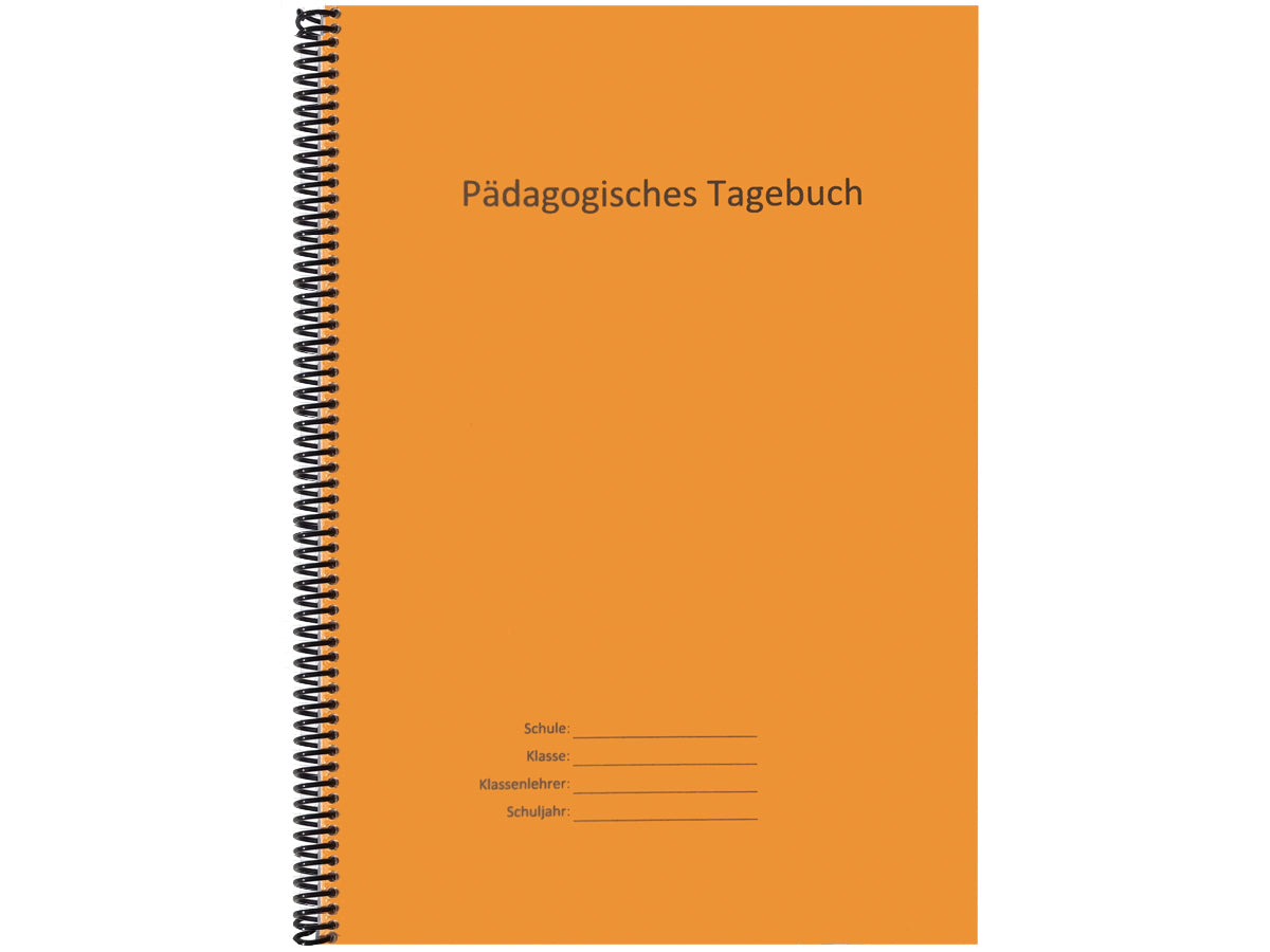 Pädagogisches Tagebuch