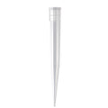 Pipettenspitzen für Mikroliterpipetten, 10 ml, Premium Line, 100 St.