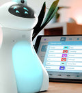 Oti-Bot – Originalabbildung des Lieferanten